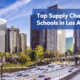 Best Supply Chain Management Programs online
