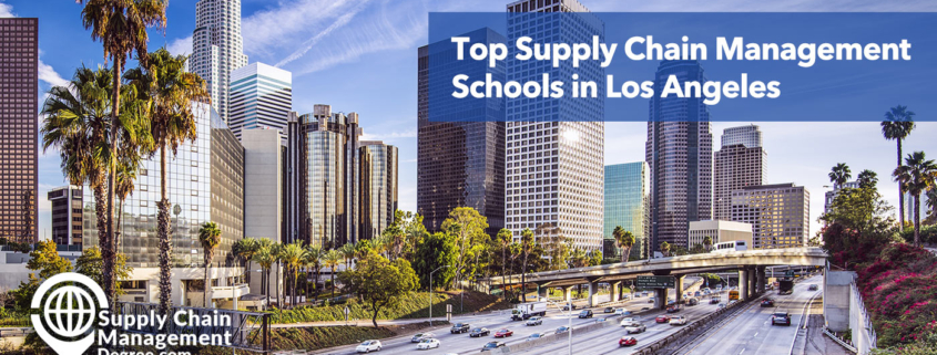 Best Supply Chain Management Programs online