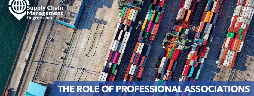 THE ROLE OF PROFESSIONAL ASSOCIATIONS